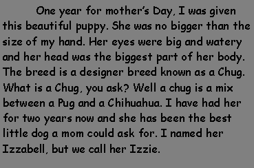 Text Box: 	One year for mothers Day, I was given this beautiful puppy. She was no bigger than the size of my hand. Her eyes were big and watery and her head was the biggest part of her body. The breed is a designer breed known as a Chug. What is a Chug, you ask? Well a chug is a mix between a Pug and a Chihuahua. I have had her for two years now and she has been the best little dog a mom could ask for. I named her Izzabell, but we call her Izzie. 